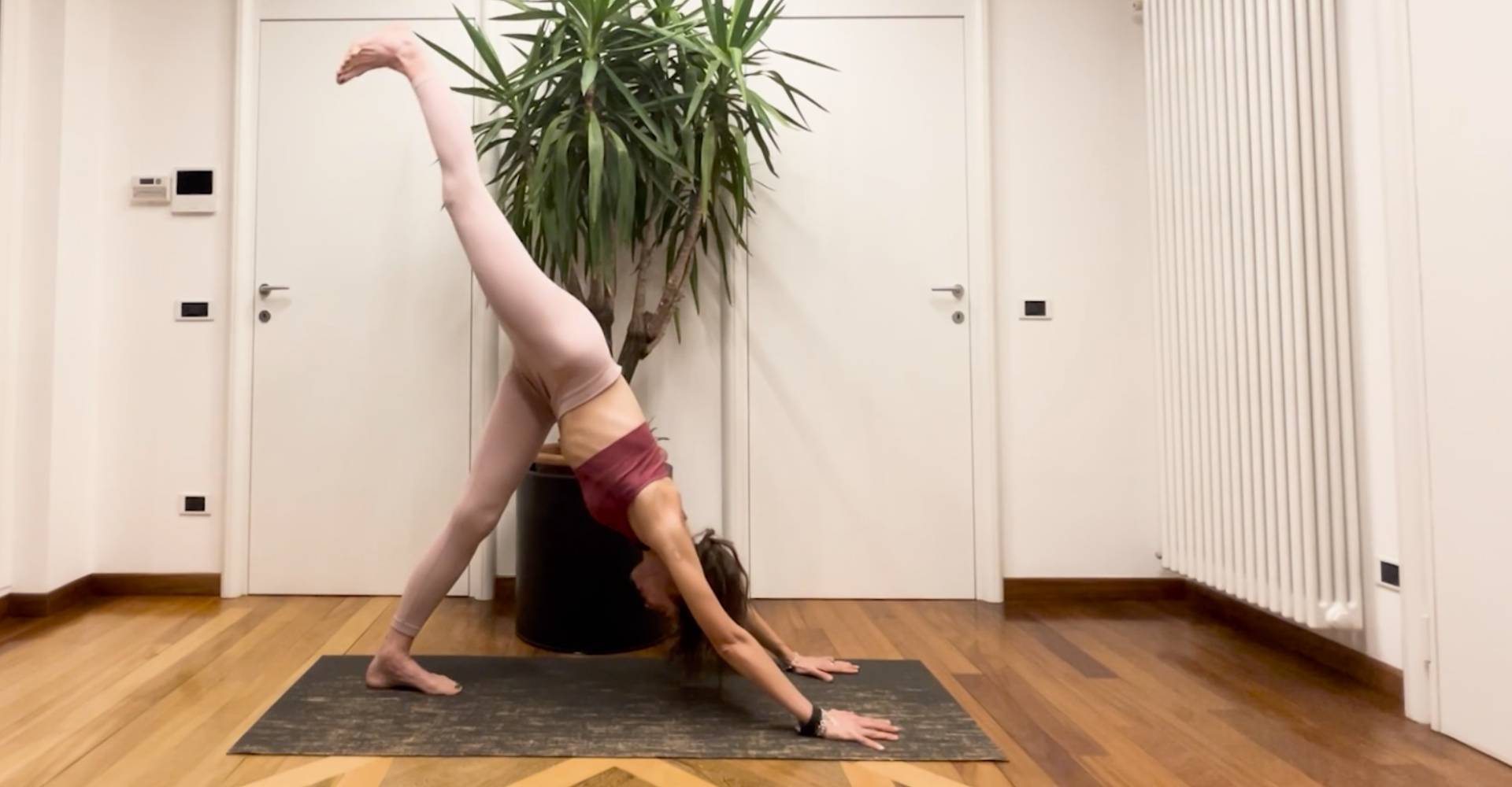 Vinyasa - Full Body Flow - 20 min