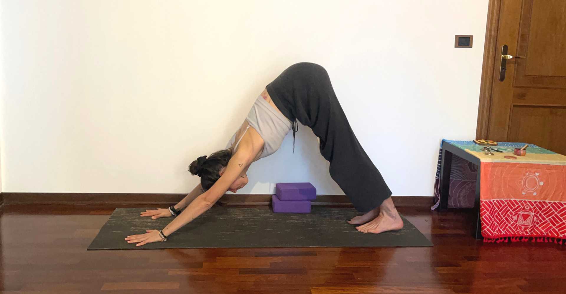 Back comfort: the back chain