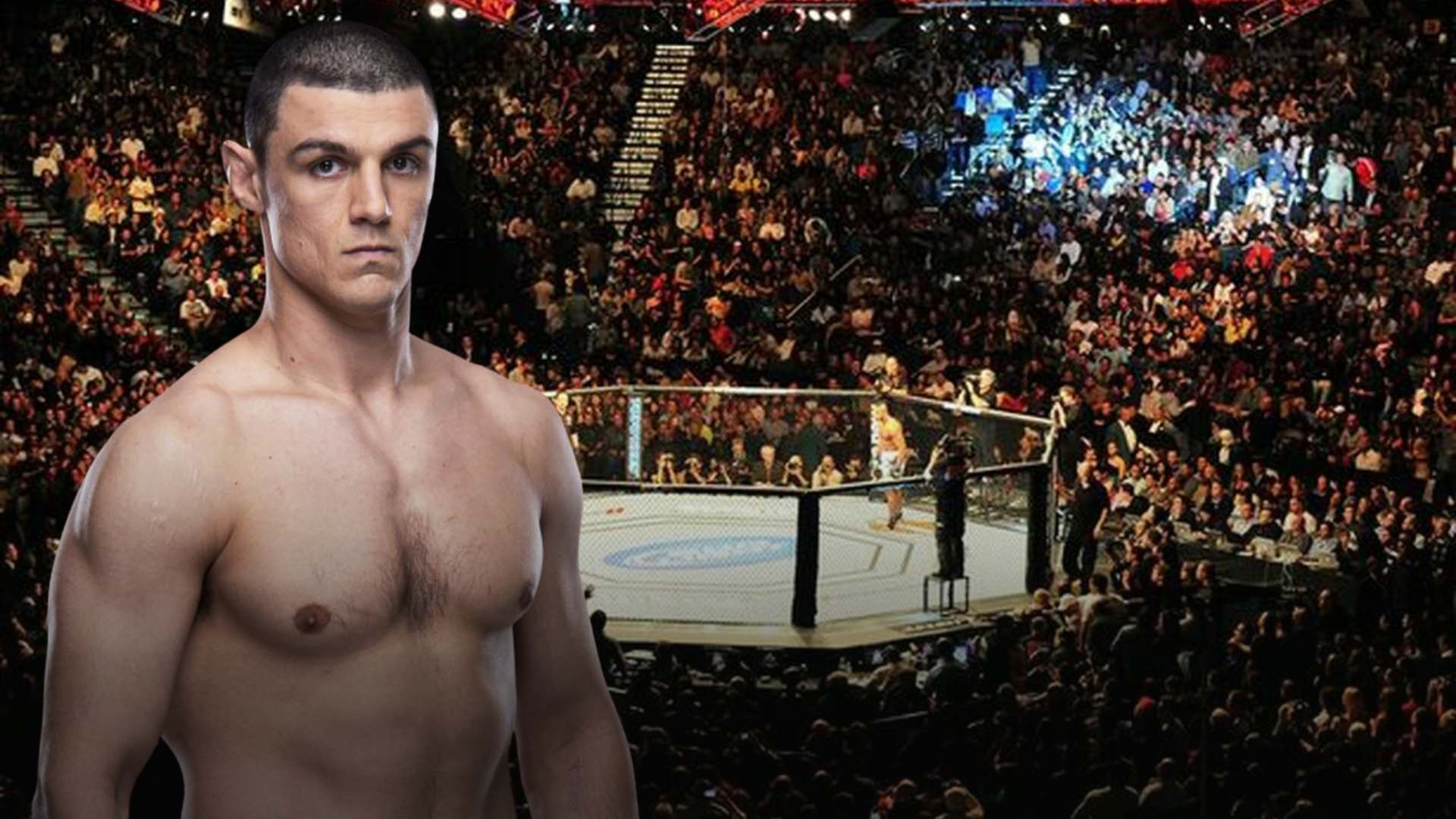 MMA: technique, tactics and fighting psychology